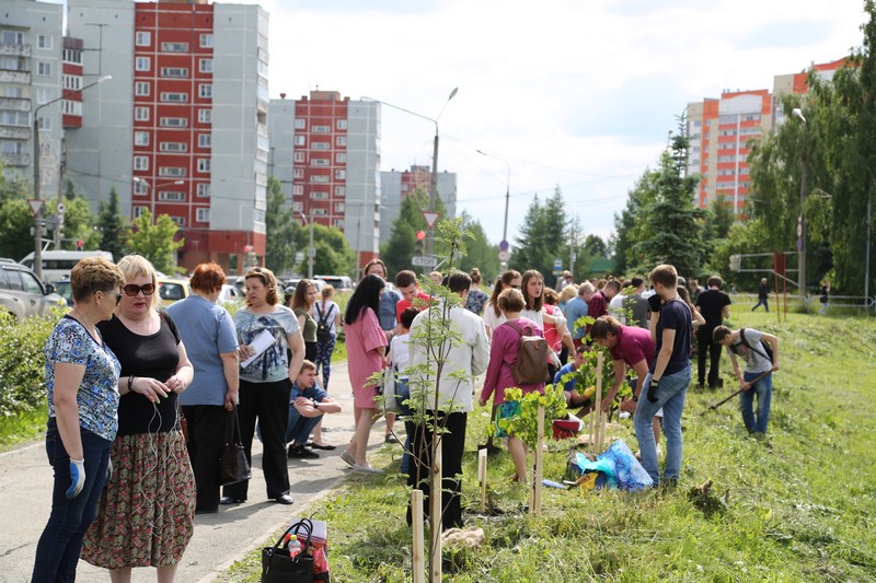 В парке выпускников посажены первые деревья