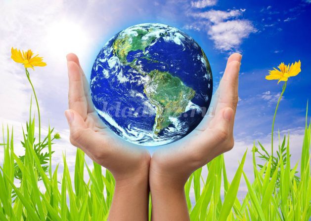 5 июня – Всемирный день окружающей среды 