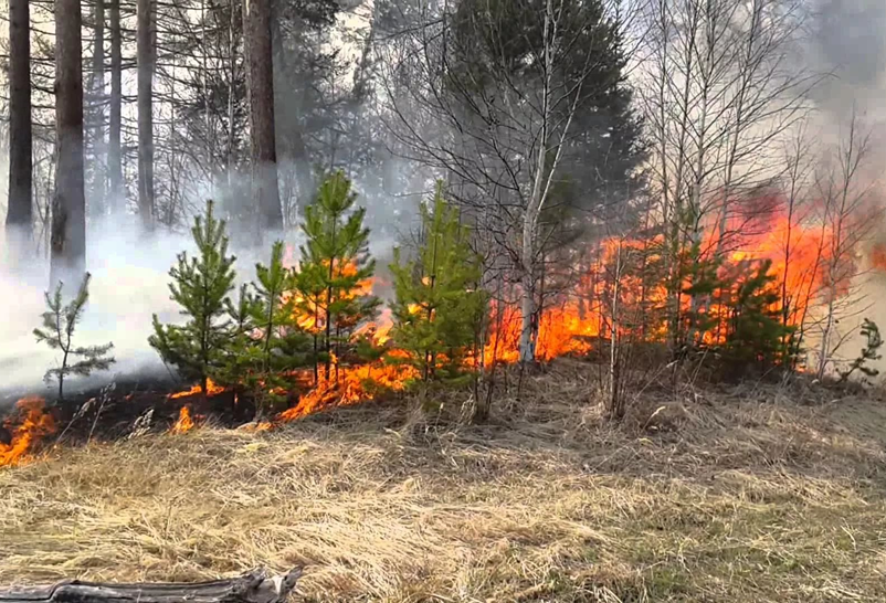 В Челябинской области с 5 апреля установлен пожароопасный сезон 