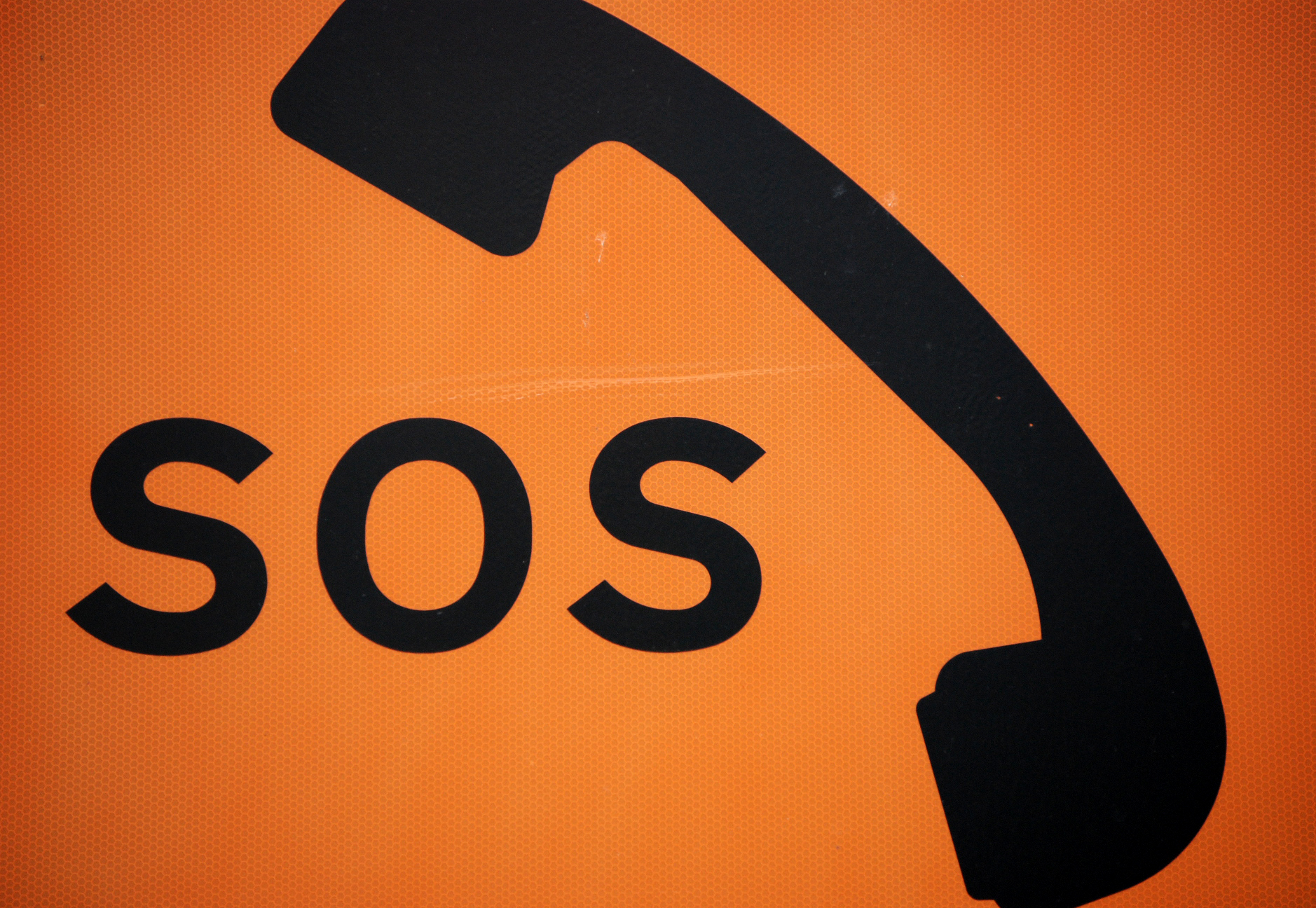 Утренний выезд