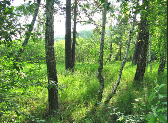 Отменен особый противопожарный режим